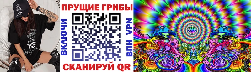 что такое   Усть-Илимск  Псилоцибиновые грибы Cubensis 